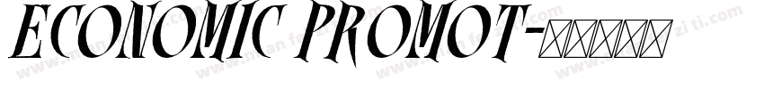 ECONOMIC PROMOT字体转换